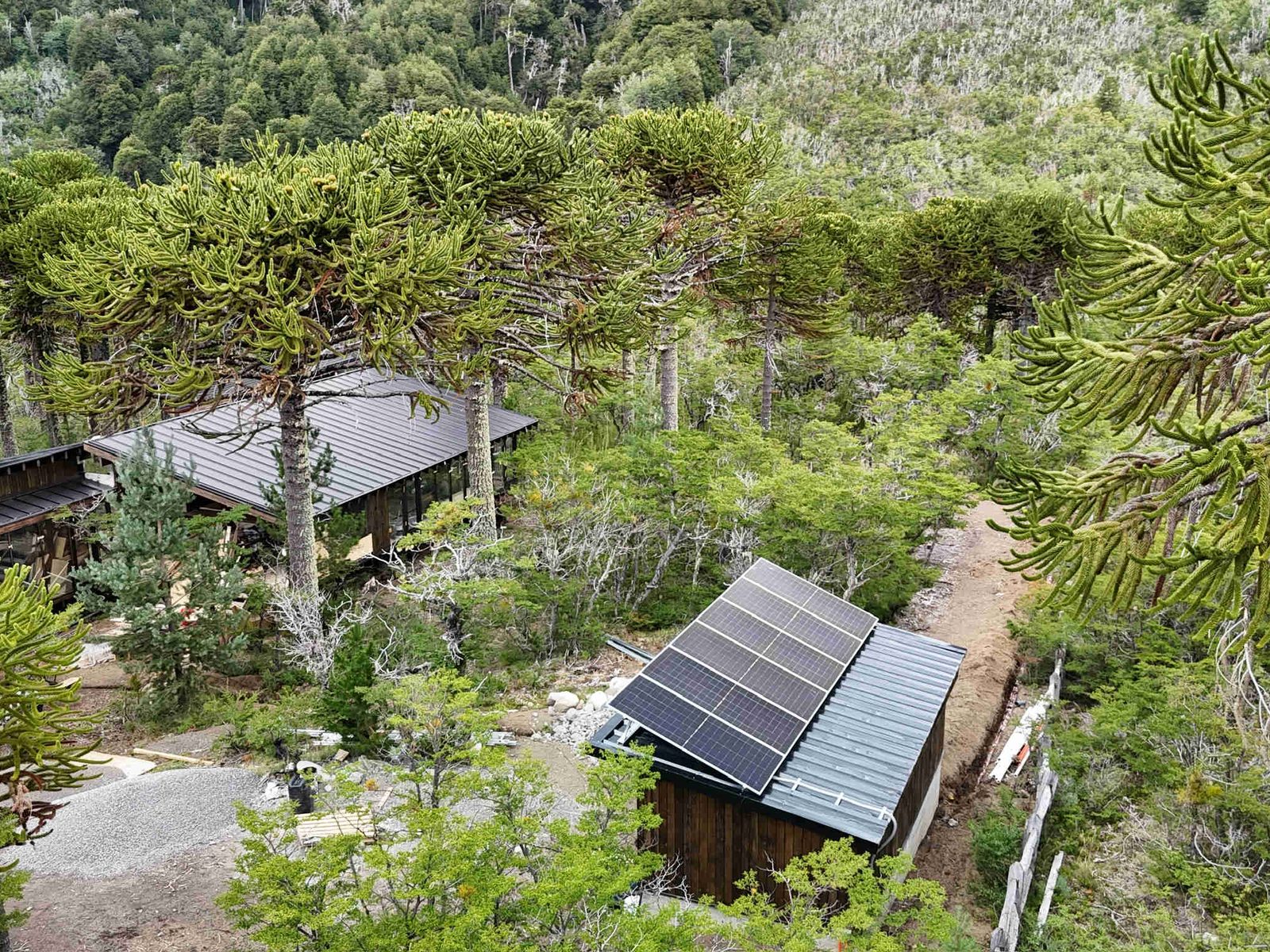 Paneles solares sobre estructura junto a una casa en medio del bosque